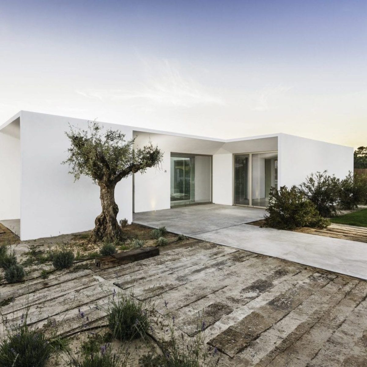 modern-house-entrance-with-garden-and-wooden-deck-PXUADMN-scaled.jpg